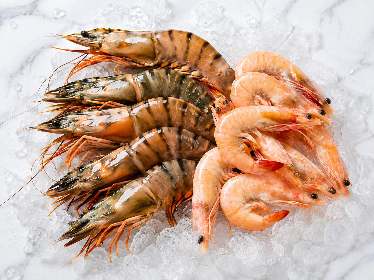 Prawns and Shrimp