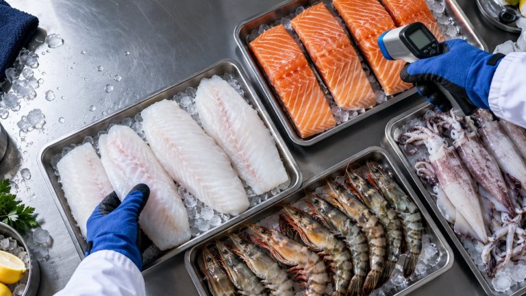 Top-down view of fish fillets, salmon, prawns and squid being checked with a temperature scanner